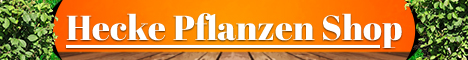 Hecke Pflanzen und Zubehör Tipps & Anleitungen