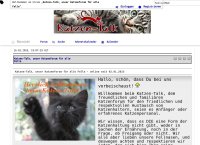 Katzen-Talk, unser Katzenforum für alle Felle